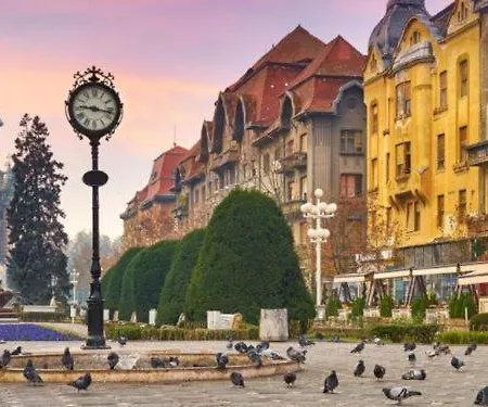 Rose 2 * Timisoara