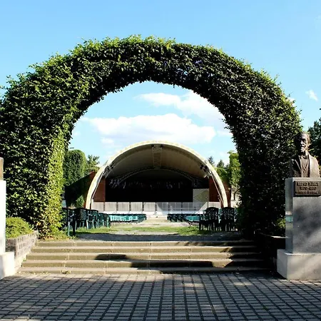 Rose 2 Timisoara