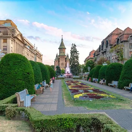 Apartment Rose 2 Timisoara