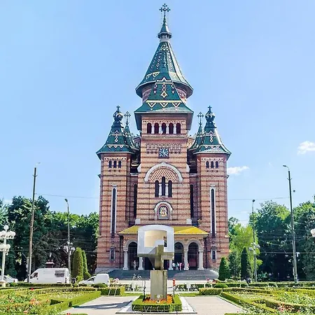 Rose 2 * Timisoara